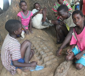 Boys playing the game "bawo" on a board they carved into a living tree root