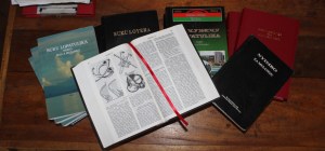 Spiritual Focus Header